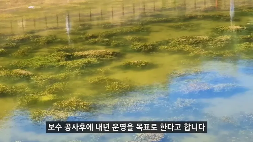 새로 개장한 워터파크, 정부 예산 430억 투입 후기