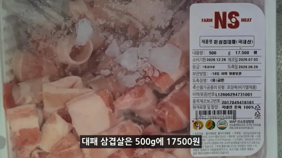 새로 개장한 워터파크, 정부 예산 430억 투입 후기