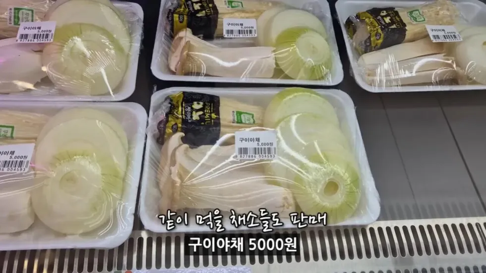 새로 개장한 워터파크, 정부 예산 430억 투입 후기