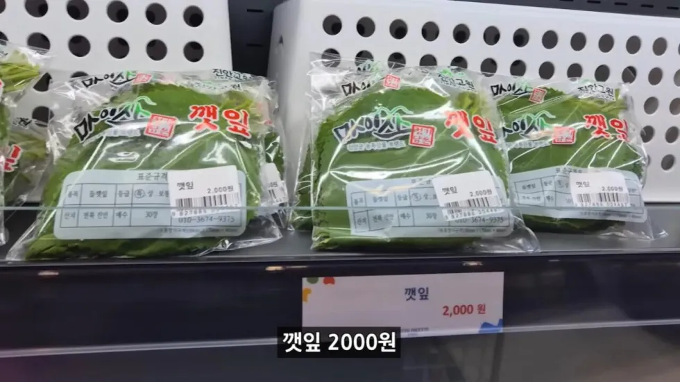 새로 개장한 워터파크, 정부 예산 430억 투입 후기