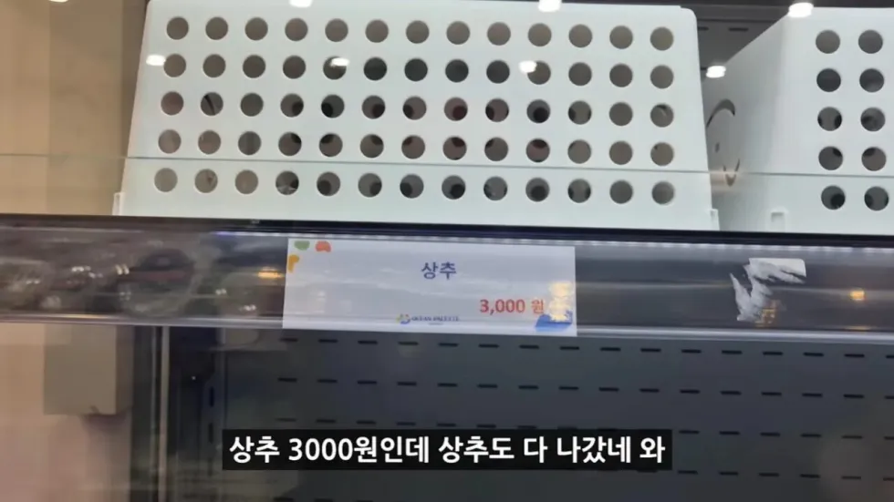 새로 개장한 워터파크, 정부 예산 430억 투입 후기