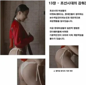조선시대 여성들의 보편적인 속옷에 대한 고찰.