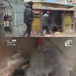 갑자기 고양이를 산채로 솥에 집어넣는 방송장면.jpg