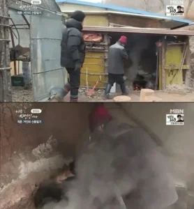 갑자기 고양이를 산채로 솥에 집어넣는 방송장면.jpg