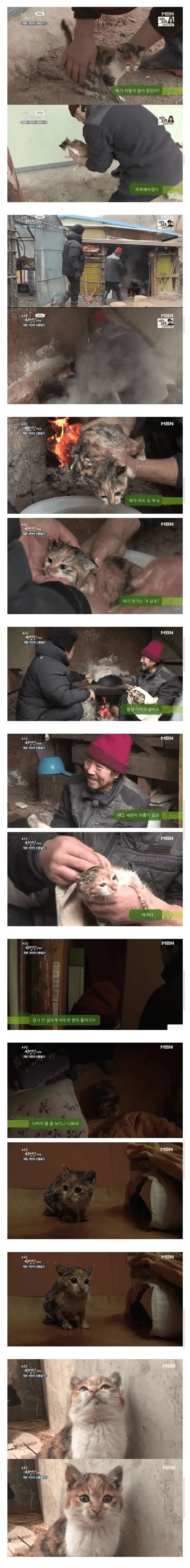 갑자기 고양이를 산채로 솥에 집어넣는 방송장면.jpg