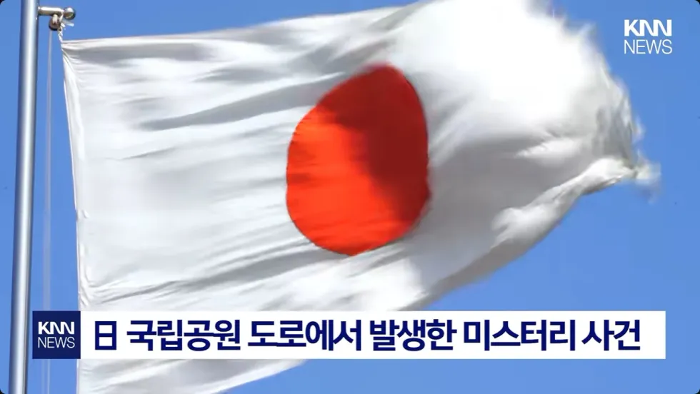 일본에서 곰 습격 대책 촉구 시위