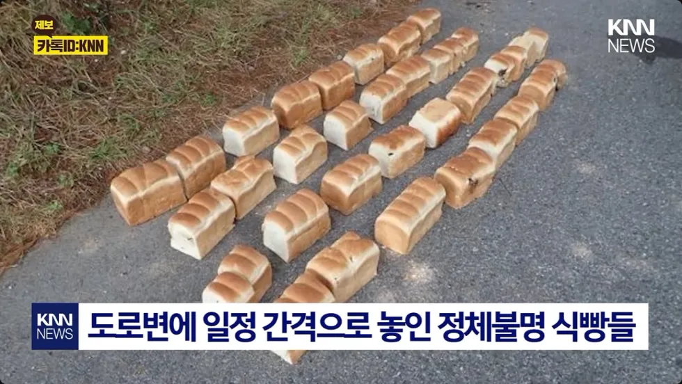 일본에서 곰 습격 대책 촉구 시위