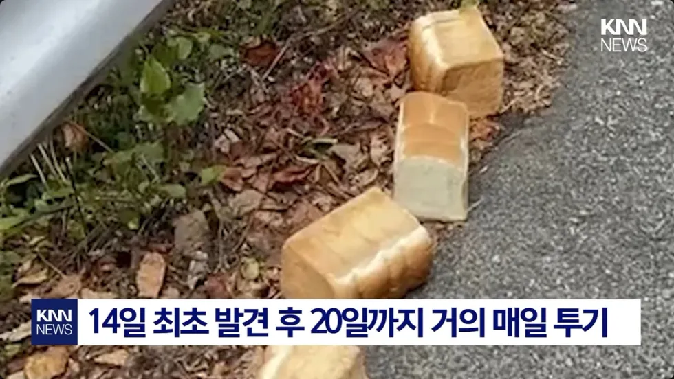 일본에서 곰 습격 대책 촉구 시위