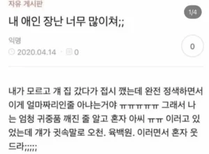 애인 유형, 빠지면 답 없는 경우