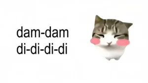 담 담 디디 디디 (Dam Dam Didi Didi Cat)