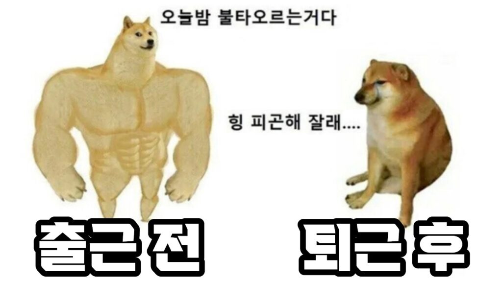 일하기 전 제 모습이고요