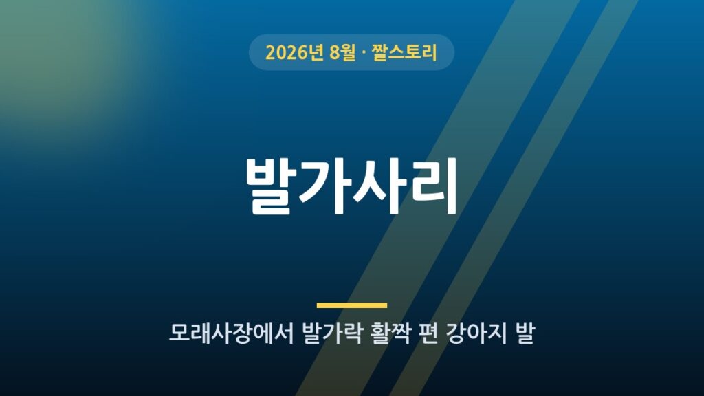 발가사리 (모래사장 강아지 발)