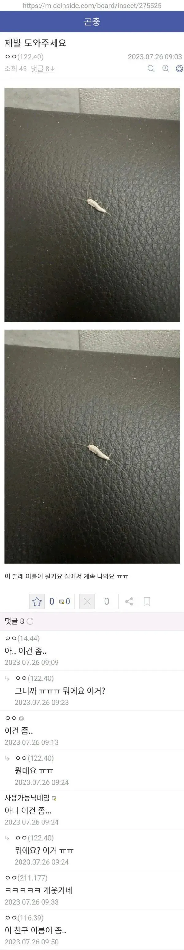 곤충 갤러리에서 통용되는 암묵적 규칙