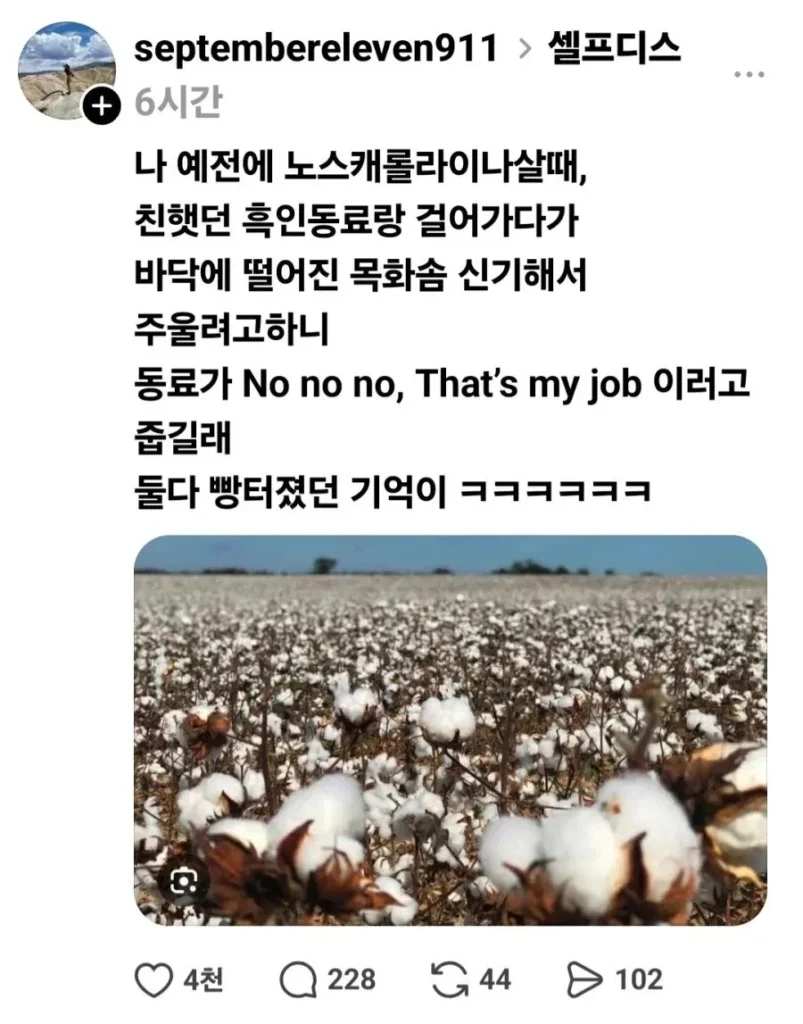 이민자, 흑인의 일자리 빼앗는다는 주장