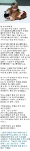 왜 거북이는 악마의 동물로 여겨지는가