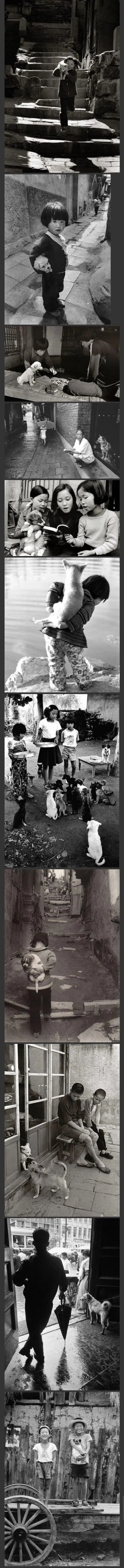 1970년대 개와 고양이가 있던 풍경