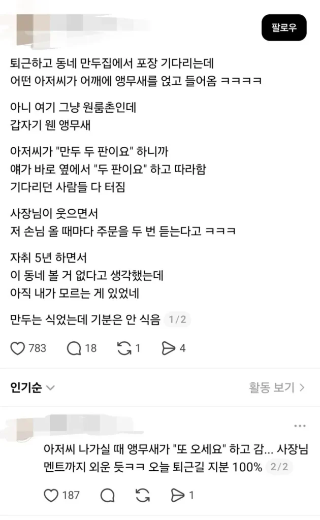앵무새를 어깨에 올리고 동네 만두집에 들어선 아저씨