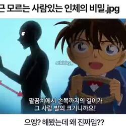인체에 대한 의외로 모르는 사실들