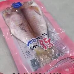 제주 용암해수 참옥돔, 그 실체는?