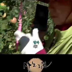 아들 밥 챙기는 걸 잊은 엄마, 일에 집중하다