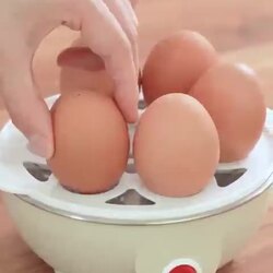 주방 필수템, 다이소 신상 아이템 역대급 등장
