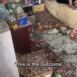 2년간 집콕한 골초의 집 청소 후기