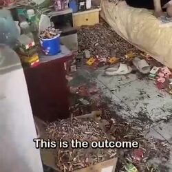 2년간 자택에 머물렀던 골초의 집 청소