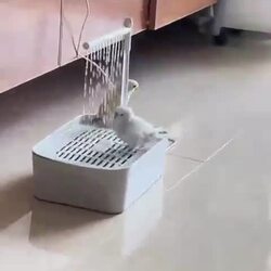 새 가정용 샤워기