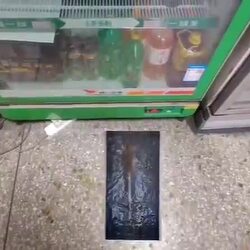 [쥐주의]끈끈이로 쥐 일가족 소탕