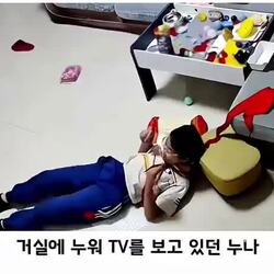 동생을 지켜낸 누나의 빠른 대처