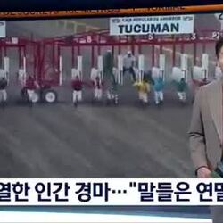 경마장, 기수들끼리 승부 겨뤄. 경주마는 휴가 중.