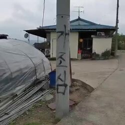 조심! 심장에 무리가 갈 수도 있어요 (개 주의)