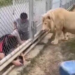 다른 사람들이 있을 땐 이러지 마세요.gif