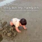 갯벌에서 신나게 놀던 아이