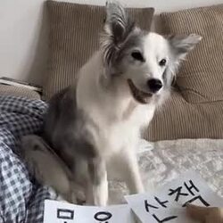 한글 모르면 사기당할 수 있어요.jpg