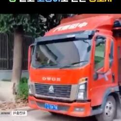 고양이 고기, 양꼬치로 둔갑