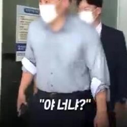 석방 후 도주하는 제주 경찰