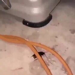 반가워 바퀴야, 굉장한 걸 갖고 있어. 정말 흥분되네