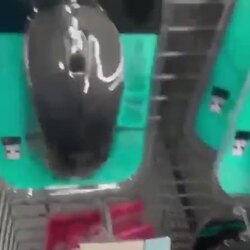 남자 때리다 반격 당하는 여성, 오늘도 목격.
