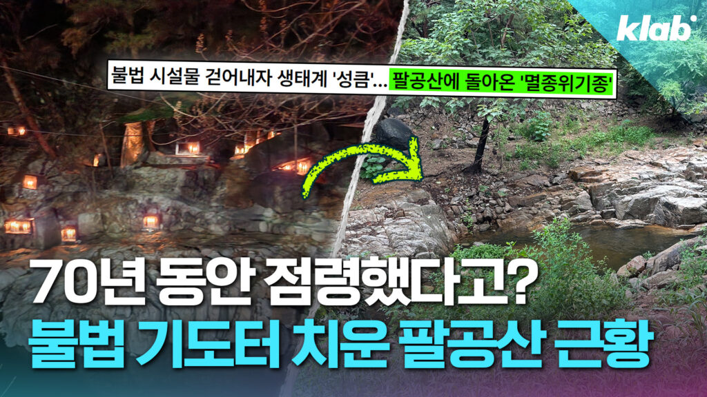 팔공산 70년 기도터 철거 후 석 달 만에 야생 동물 귀환