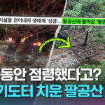 팔공산 70년 기도터 철거 후 석 달 만에 야생 동물 귀환