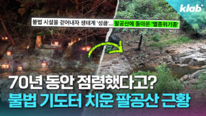 팔공산 70년 기도터 철거 후 석 달 만에 야생 동물 귀환
