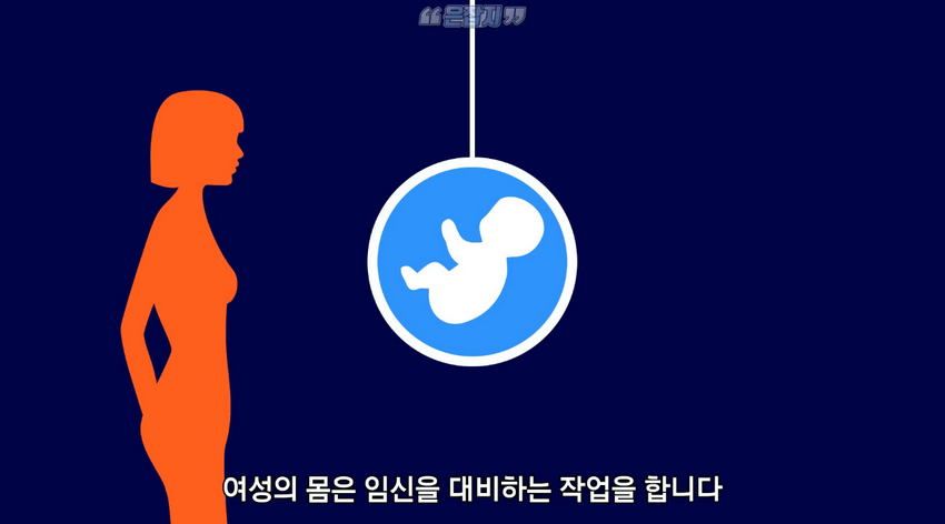 남자들은 잘 모르는 '냉'에 대하여