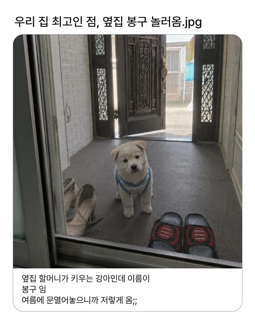 우리집 최고인 점 (펌)