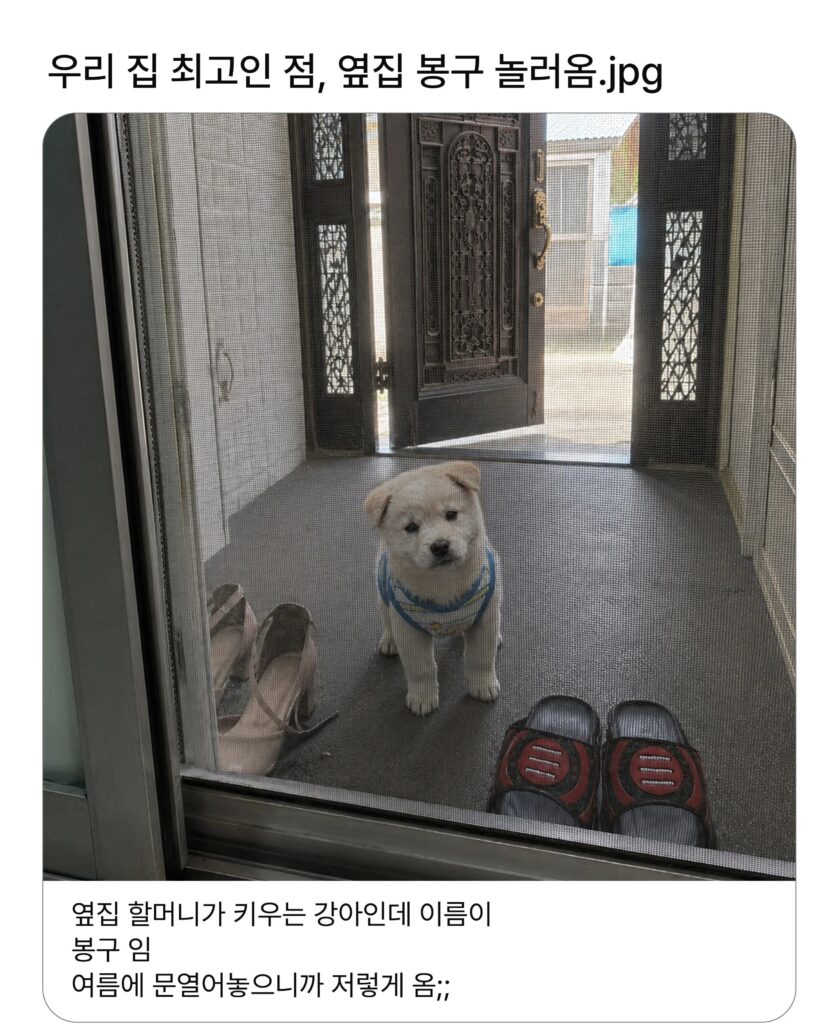 우리집 최고인 점 (펌)