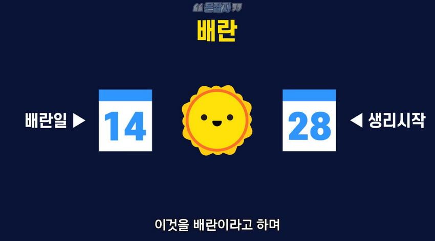 남자들은 잘 모르는 '냉'에 대하여