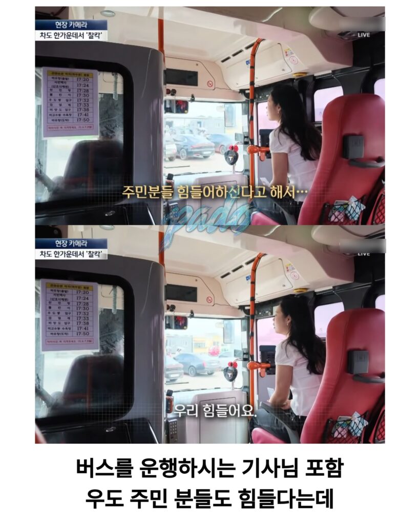 우도까지 진출한 짱개바퀴벌레, 제주도 점령