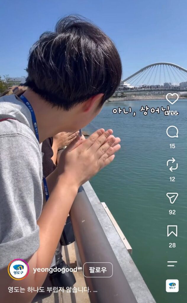 영도구 공무원, 상어님의 방문을 간절히 기원