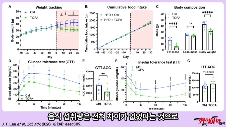 체중 감량 돕는 신물질 발견, 쯔양 몸매 관리 비결?