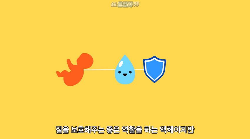 남자들은 잘 모르는 '냉'에 대하여